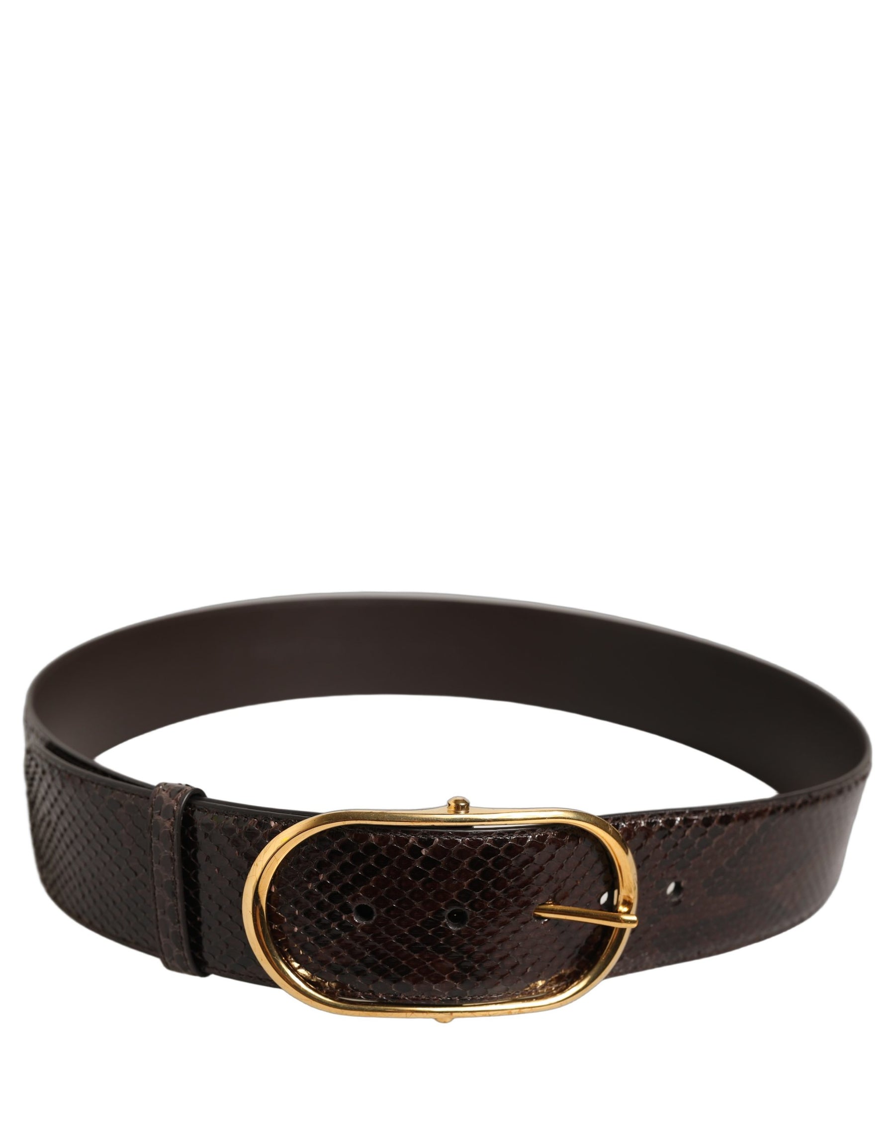 Dolce & Gabbana Brown Python Leather Gold Metal Buckle Belt | Regal Royce