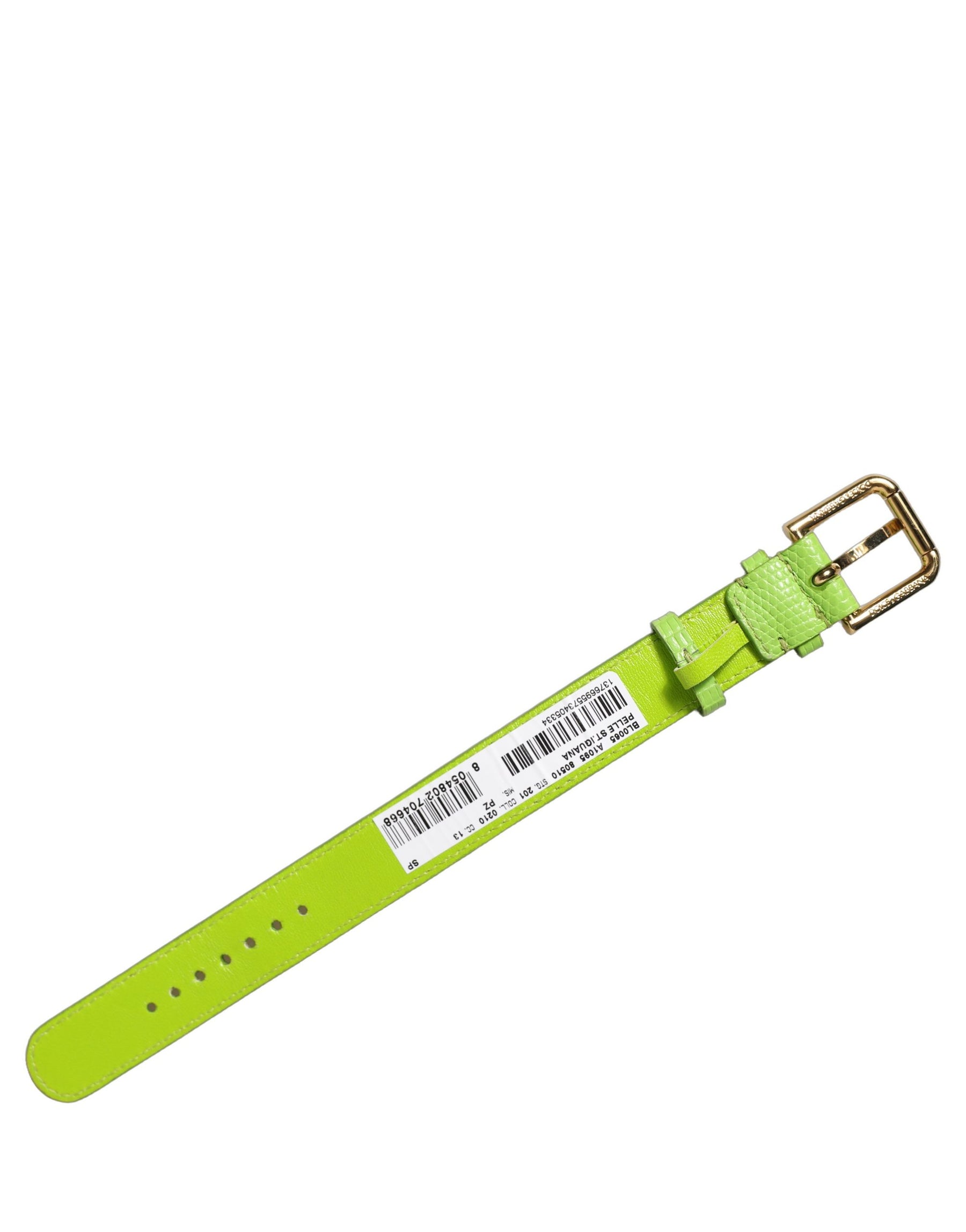 Dolce & Gabbana Green Textured Leather Gold Buckle Belt Strap Bracelet | Regal Royce