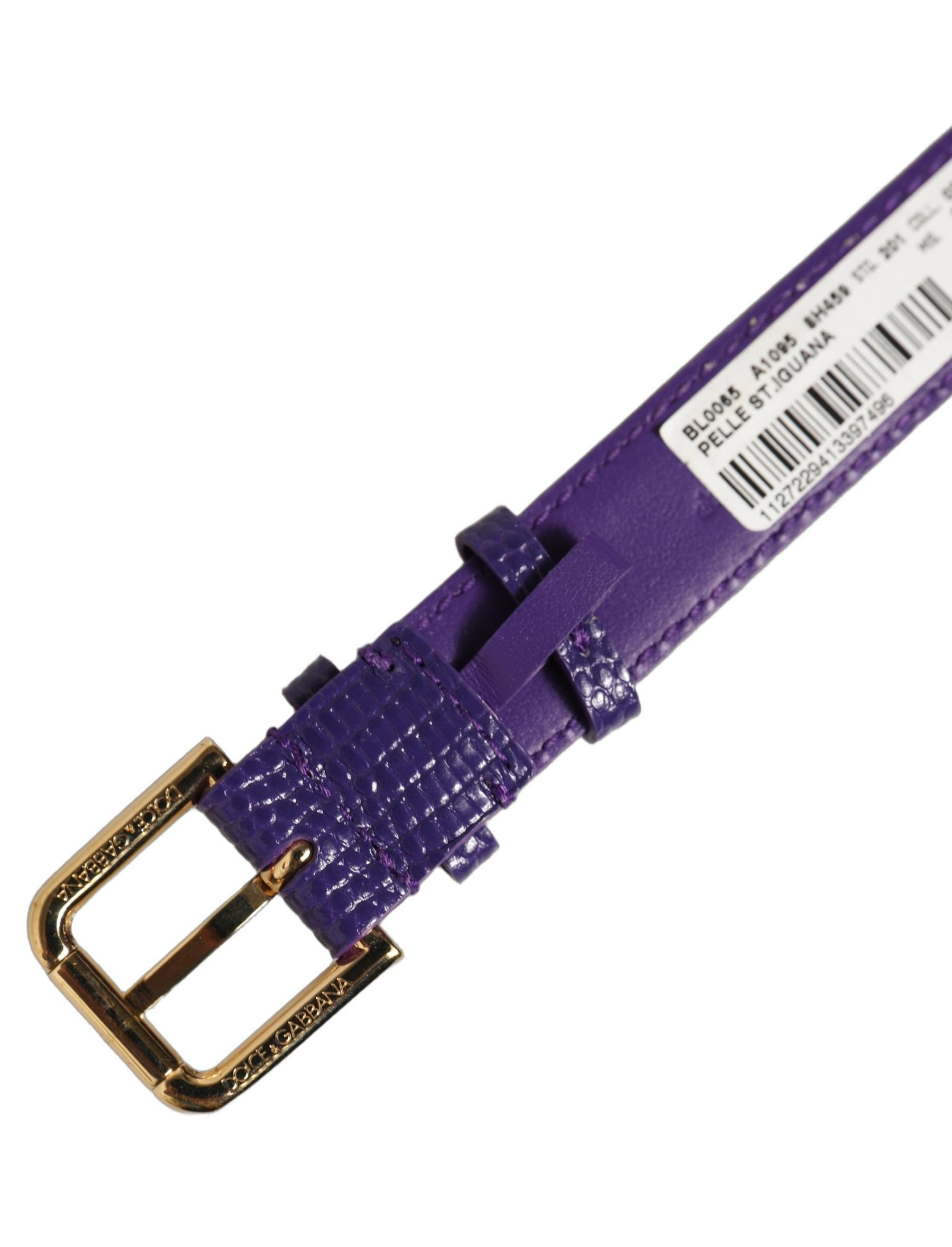 Dolce & Gabbana Violet Textured Leather Gold Buckle Belt Strap Bracelet | Regal Royce