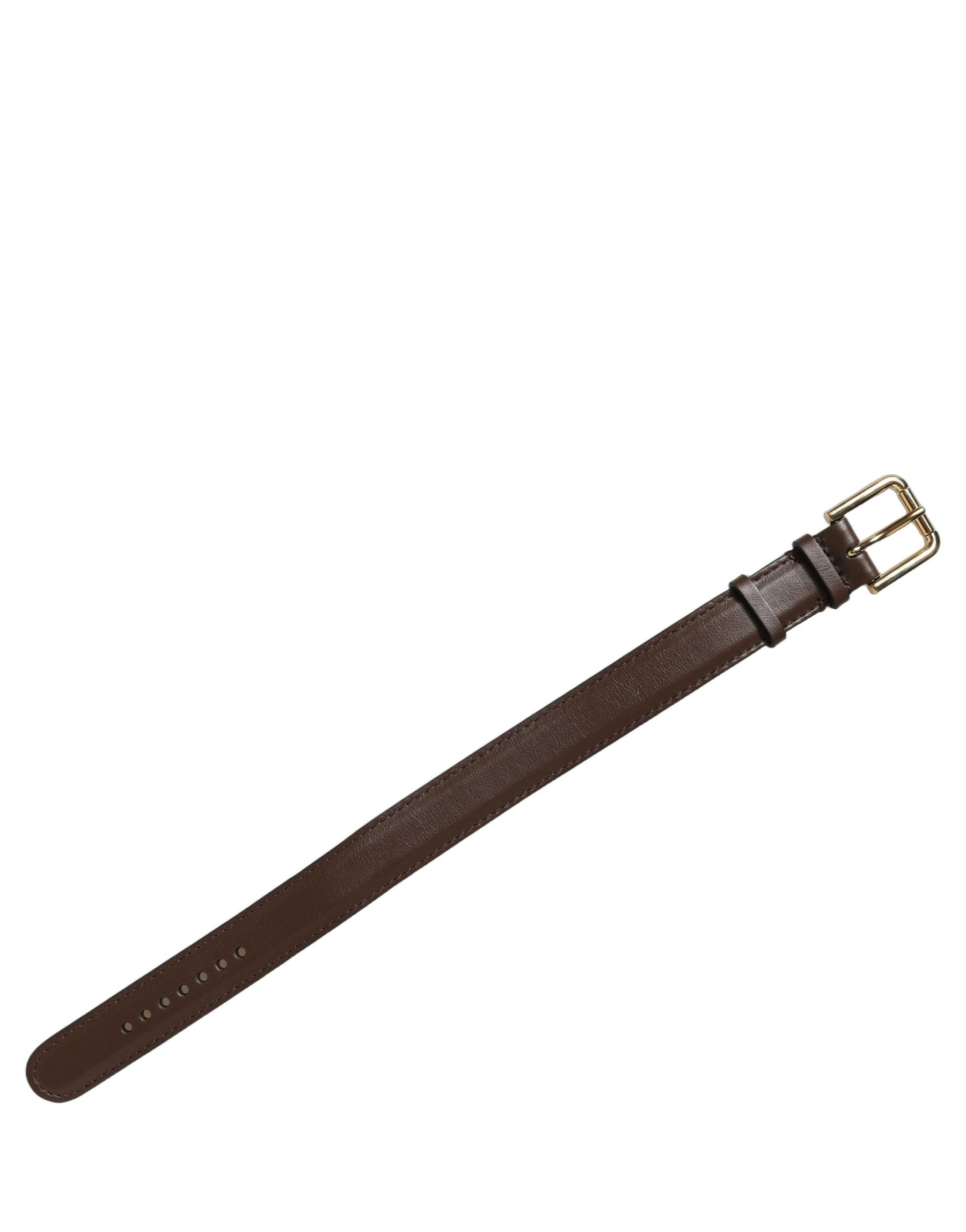 Dolce & Gabbana Brown Calfskin Leather Gold Buckle Belt Strap Bracelet | Regal Royce
