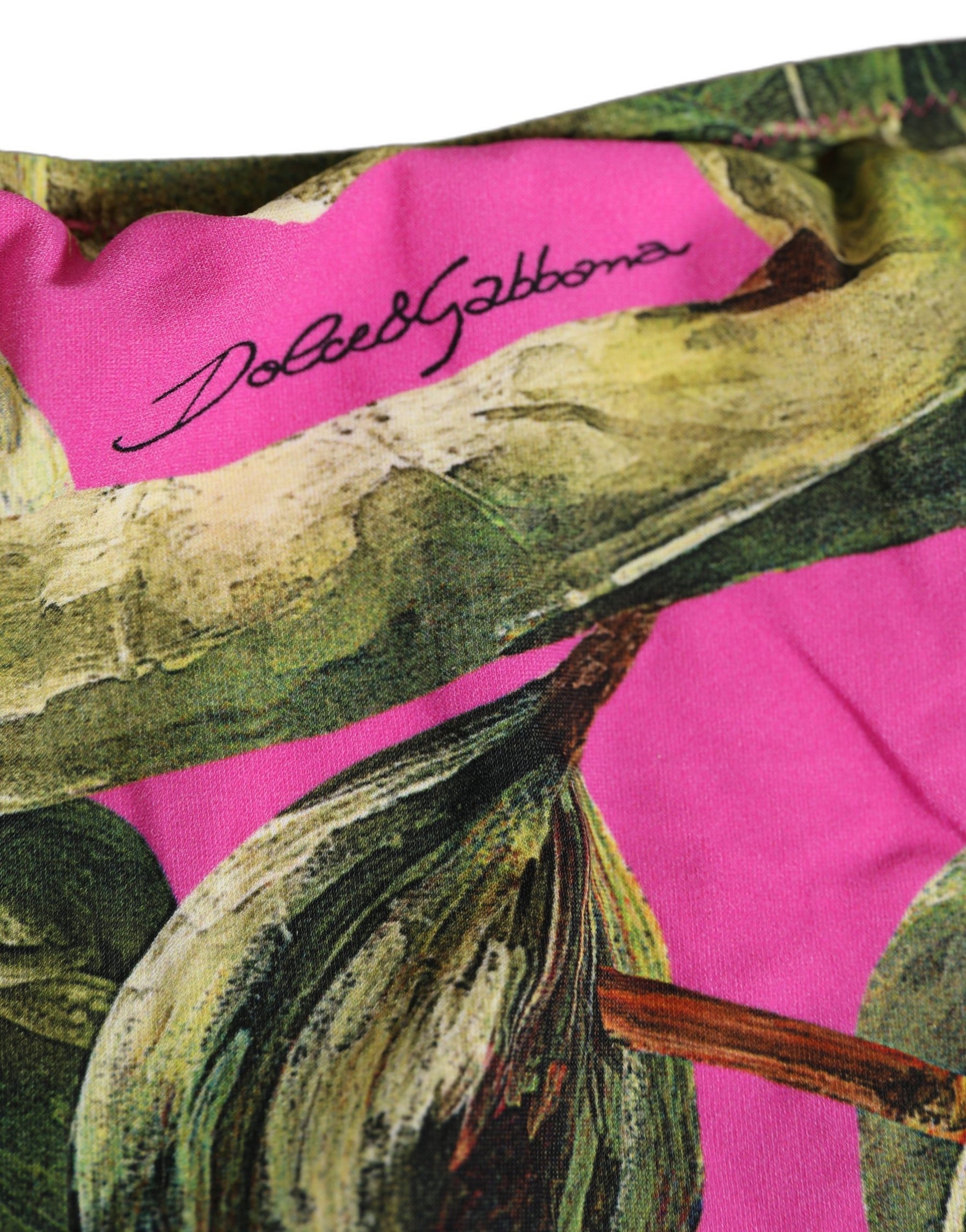 Dolce & Gabbana Fuchsia Pink Fig Print Beachwear Bikini Bottom | Regal Royce