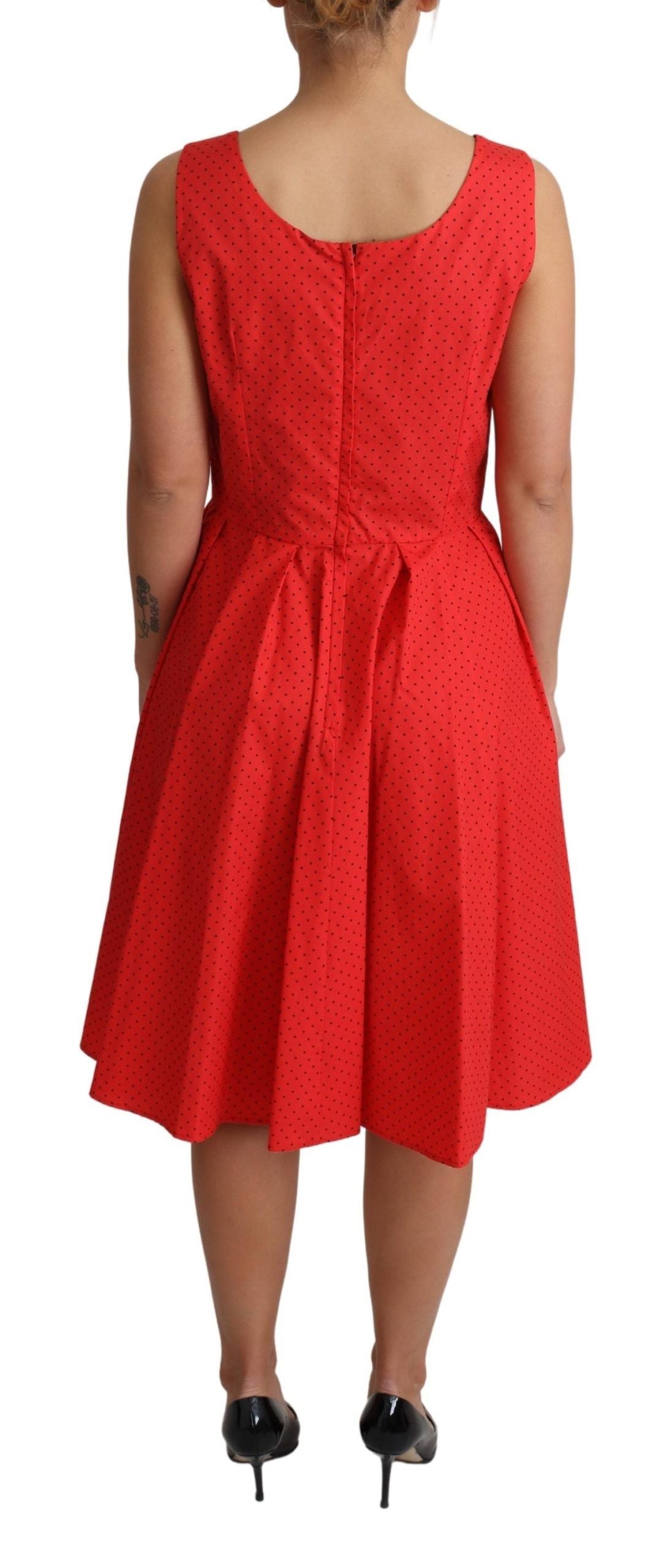 Dolce & Gabbana Red Polka Dotted Cotton A-Line  Dress | Regal Royce
