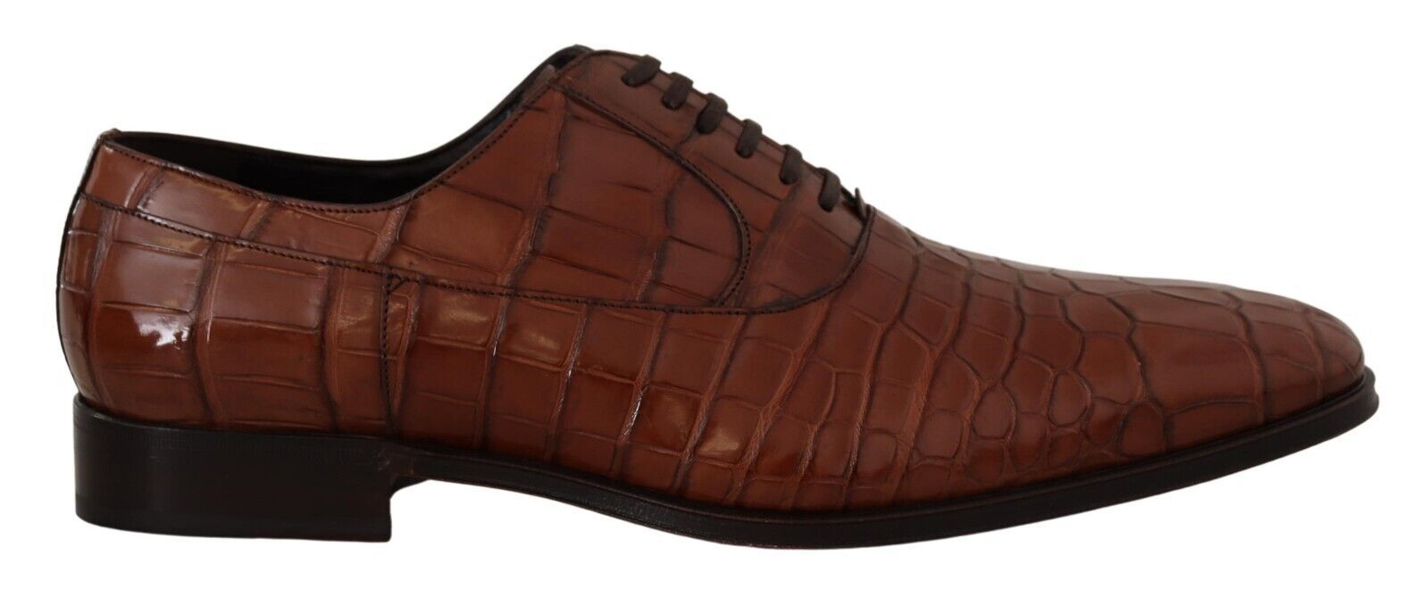 Dolce & Gabbana Brown Crocodile Leather Mens Formal Derby Shoes | Regal Royce