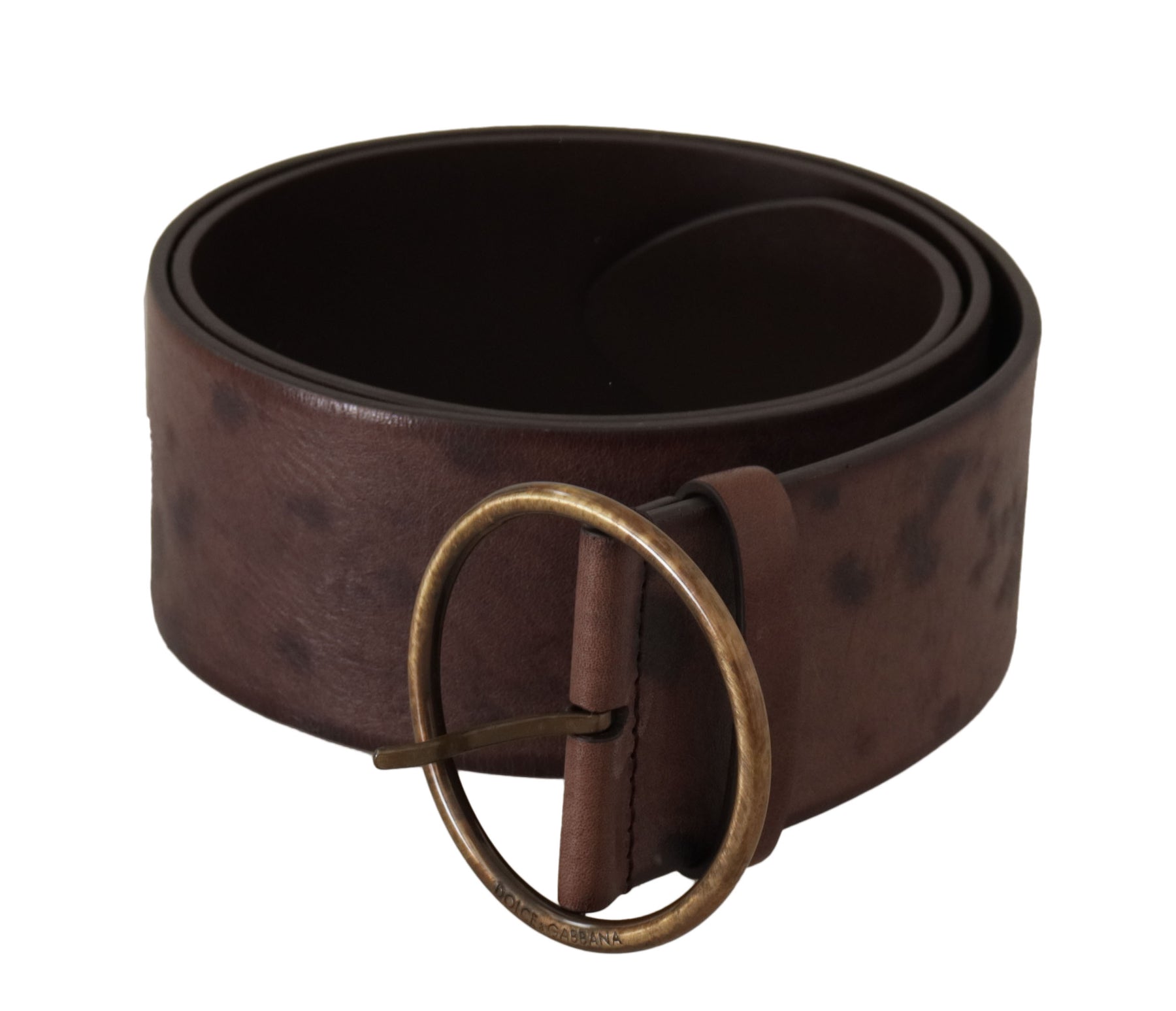 Dolce & Gabbana Dark Brown Wide Calf Leather Logo Round Buckle Belt | Regal Royce