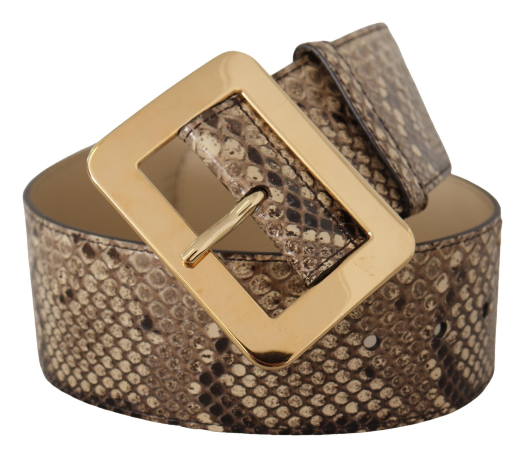 Dolce & Gabbana Brown Exotic Wide Waist Leather Gold Metal Buckle Belt | Regal Royce