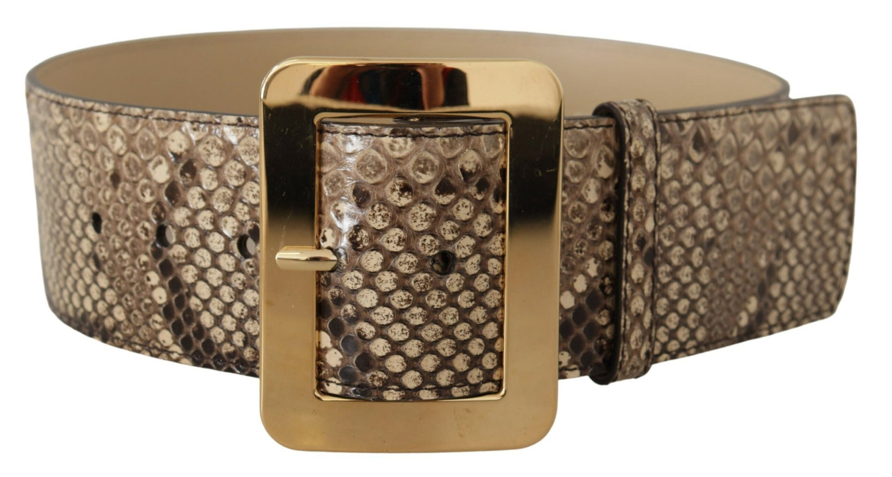 Dolce & Gabbana Brown Exotic Wide Waist Leather Gold Metal Buckle Belt | Regal Royce