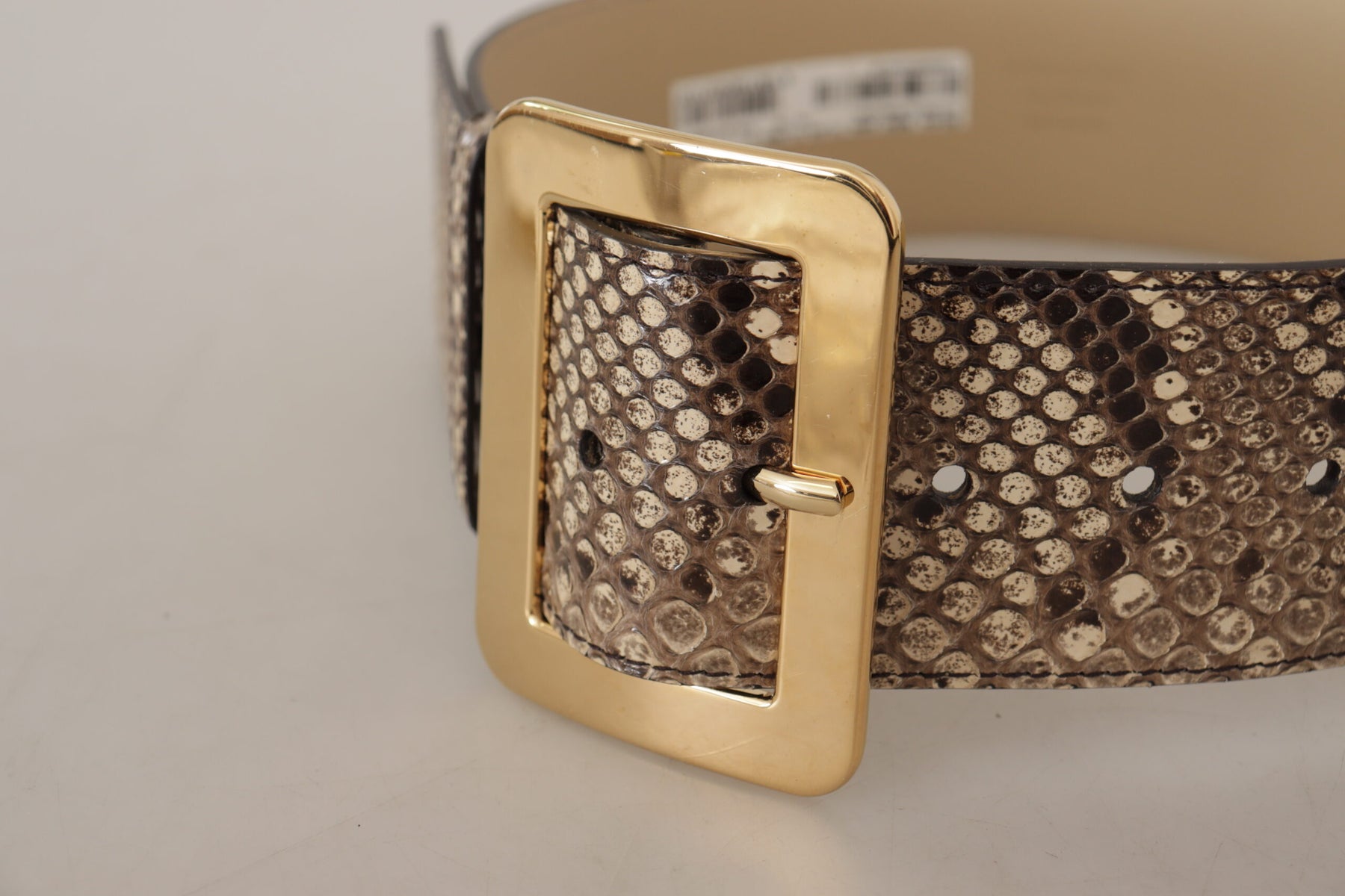 Dolce & Gabbana Brown Exotic Wide Waist Leather Gold Metal Buckle Belt | Regal Royce