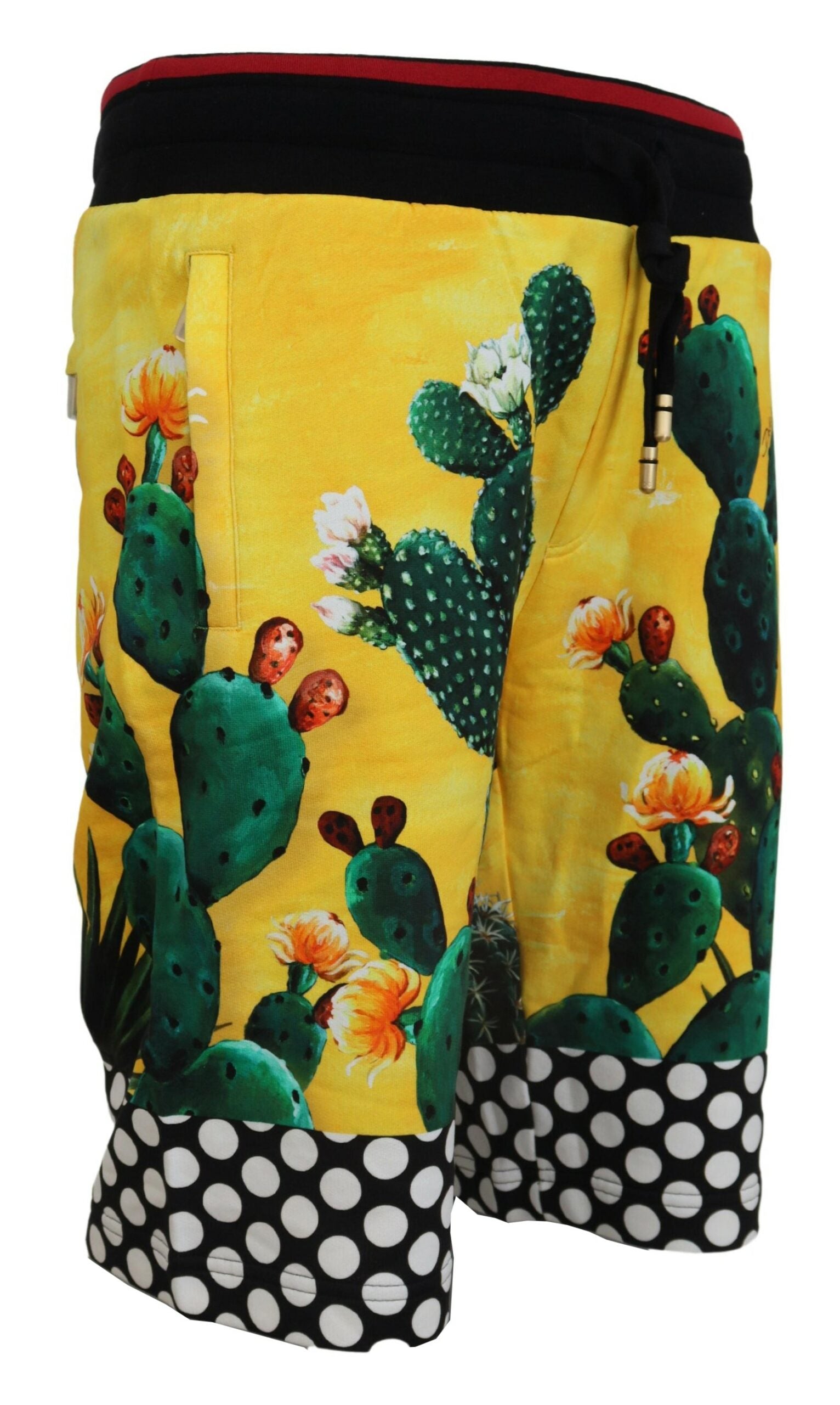 Dolce & Gabbana Multicolor Cactus Print Cotton Sweat Shorts | Regal Royce