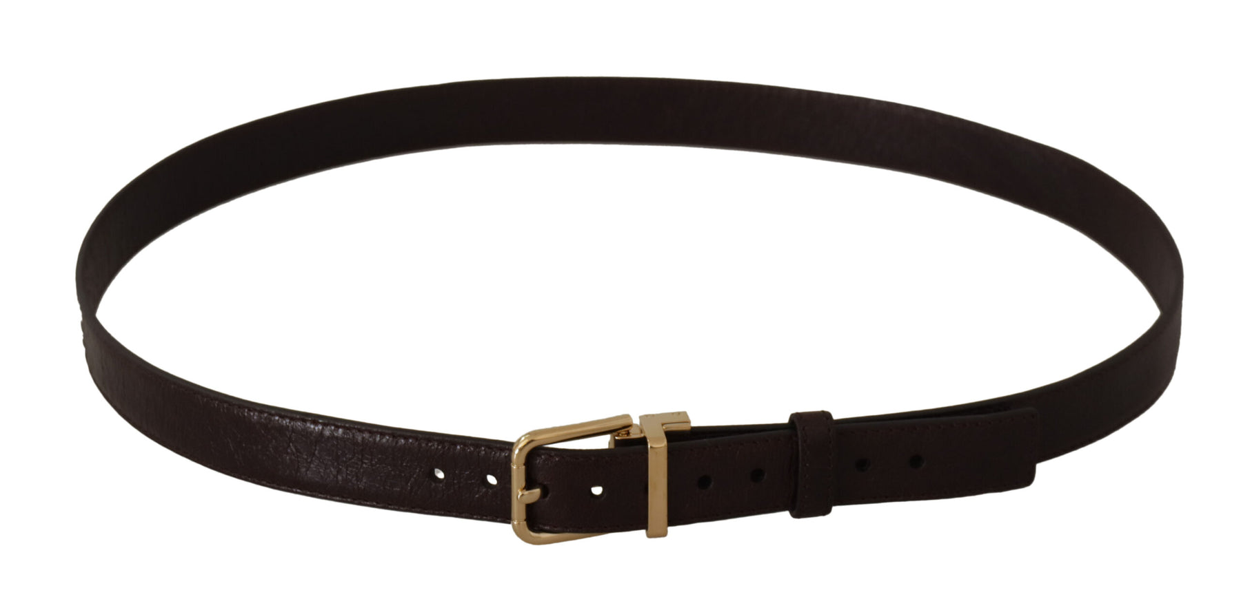 Dolce & Gabbana Brown Leather Gold Metal Buckle Belt | Regal Royce