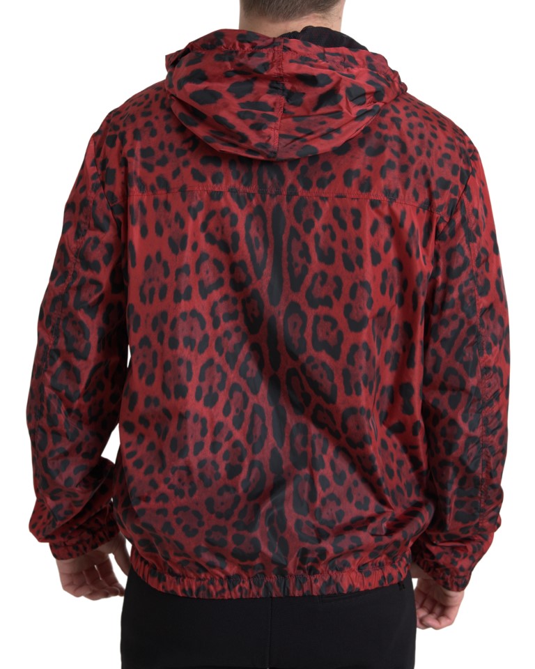 Dolce & Gabbana Red Leopard Hooded Bomber Full Zip Jacket | Regal Royce