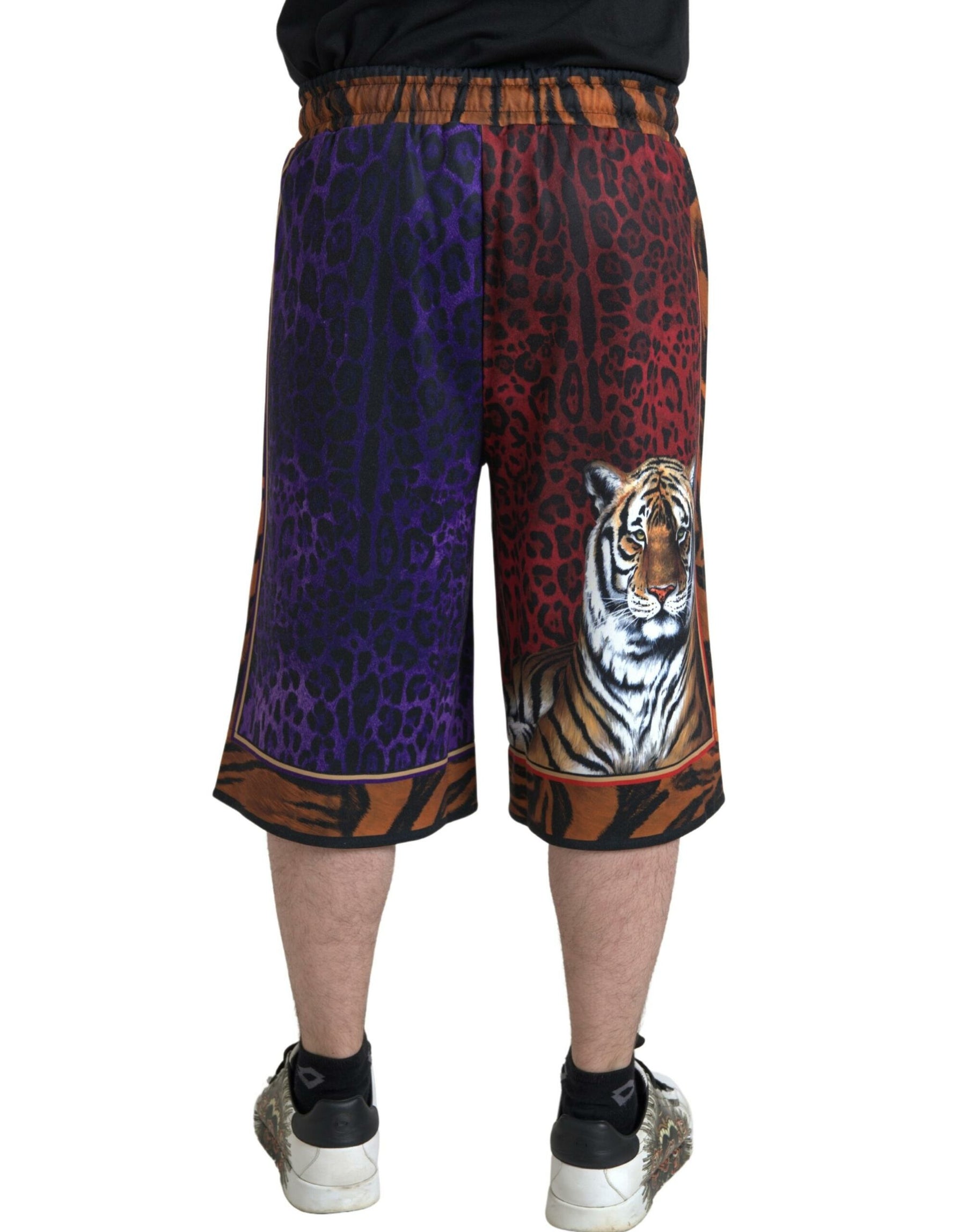 Dolce & Gabbana Multicolor Tiger Print Men Bermuda Shorts | Regal Royce