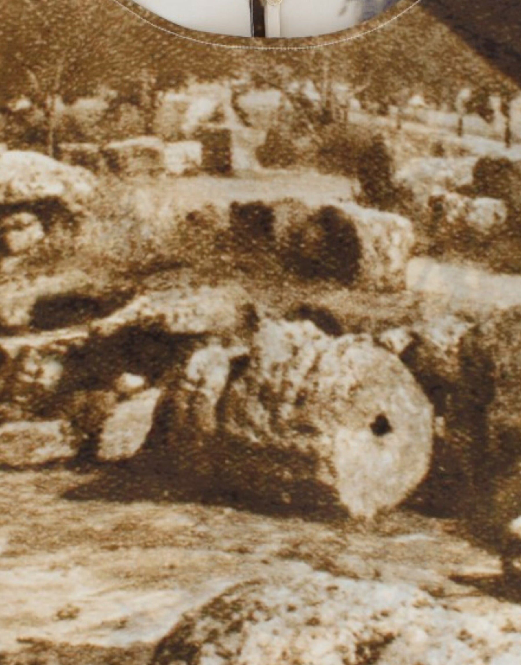 Dolce & Gabbana Brown Taormina silk blouse | Regal Royce