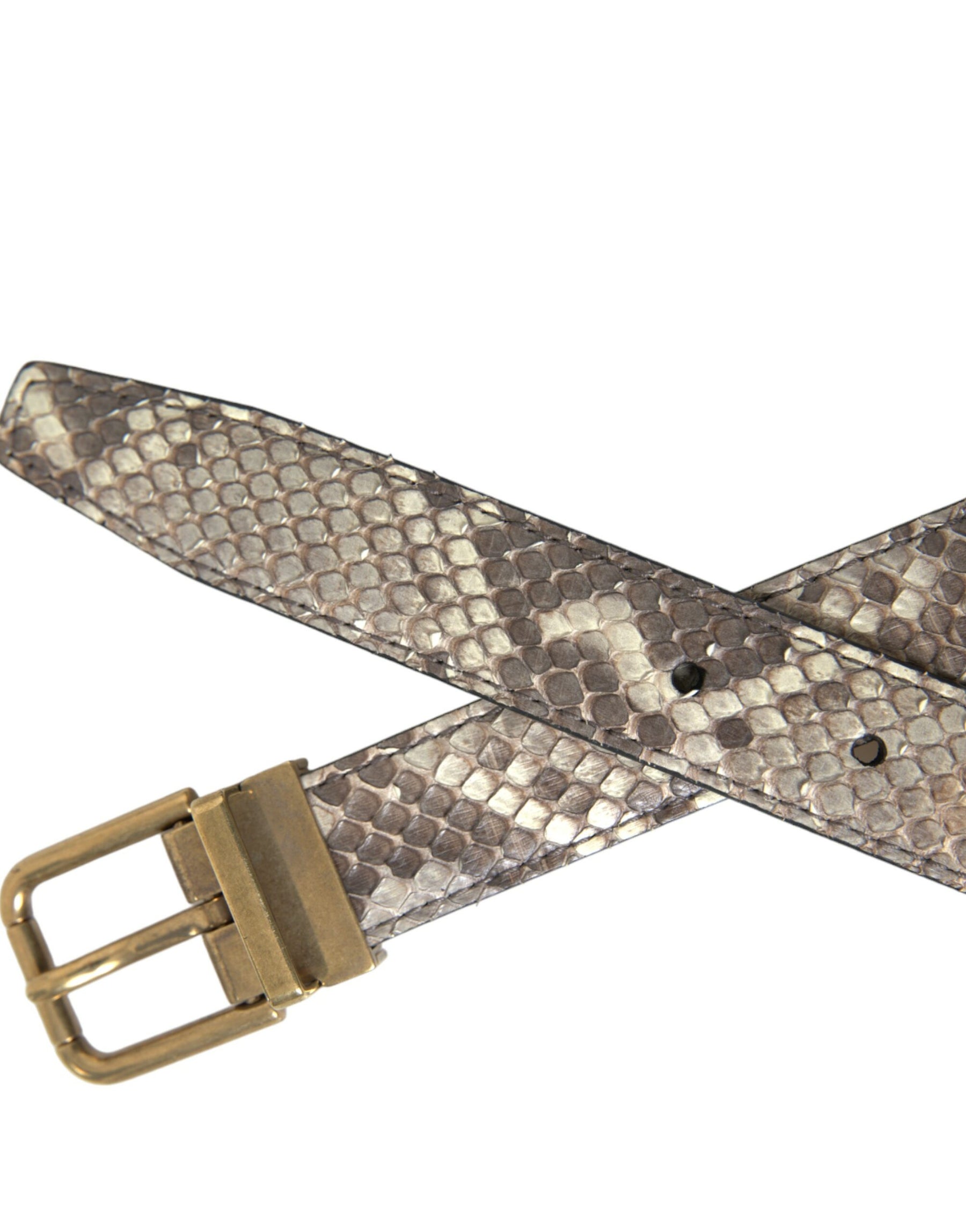 Dolce & Gabbana Brown Python Leather Gold Metal Buckle Belt | Regal Royce