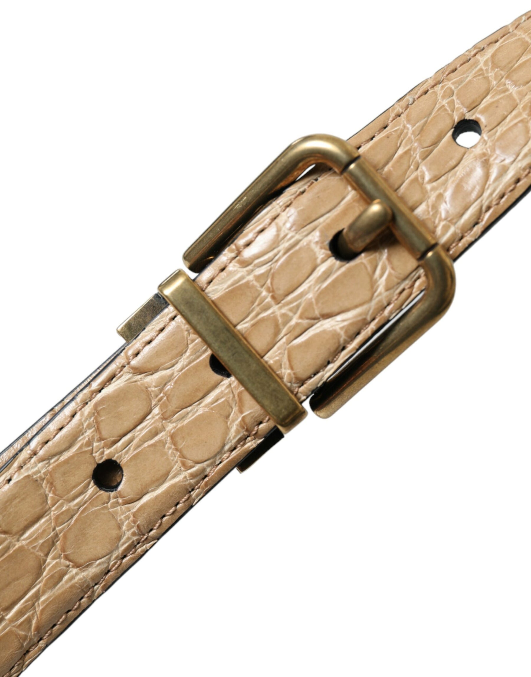Dolce & Gabbana Beige Exotic Leather Gold Metal Buckle Belt | Regal Royce