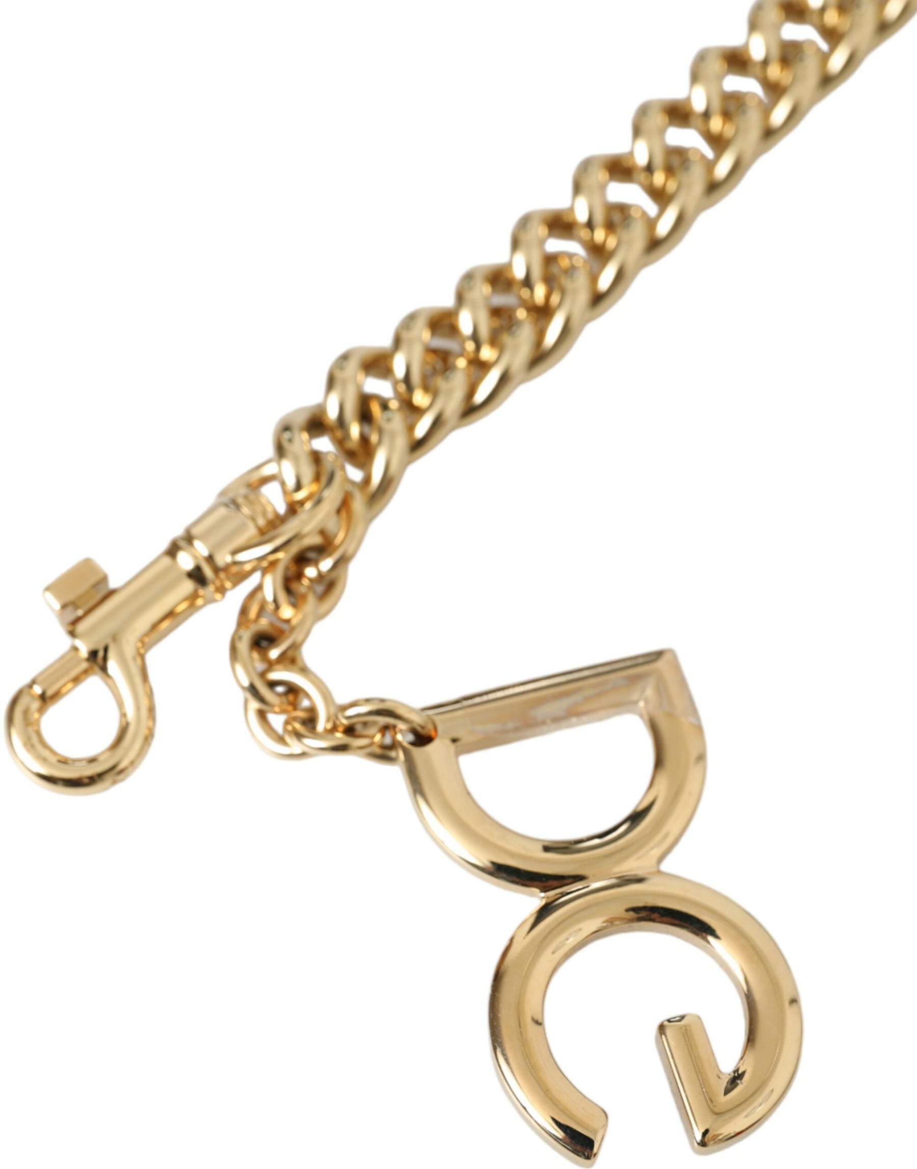 Dolce & Gabbana Brown Leopard Handbag Accessory Shoulder Strap | Regal Royce