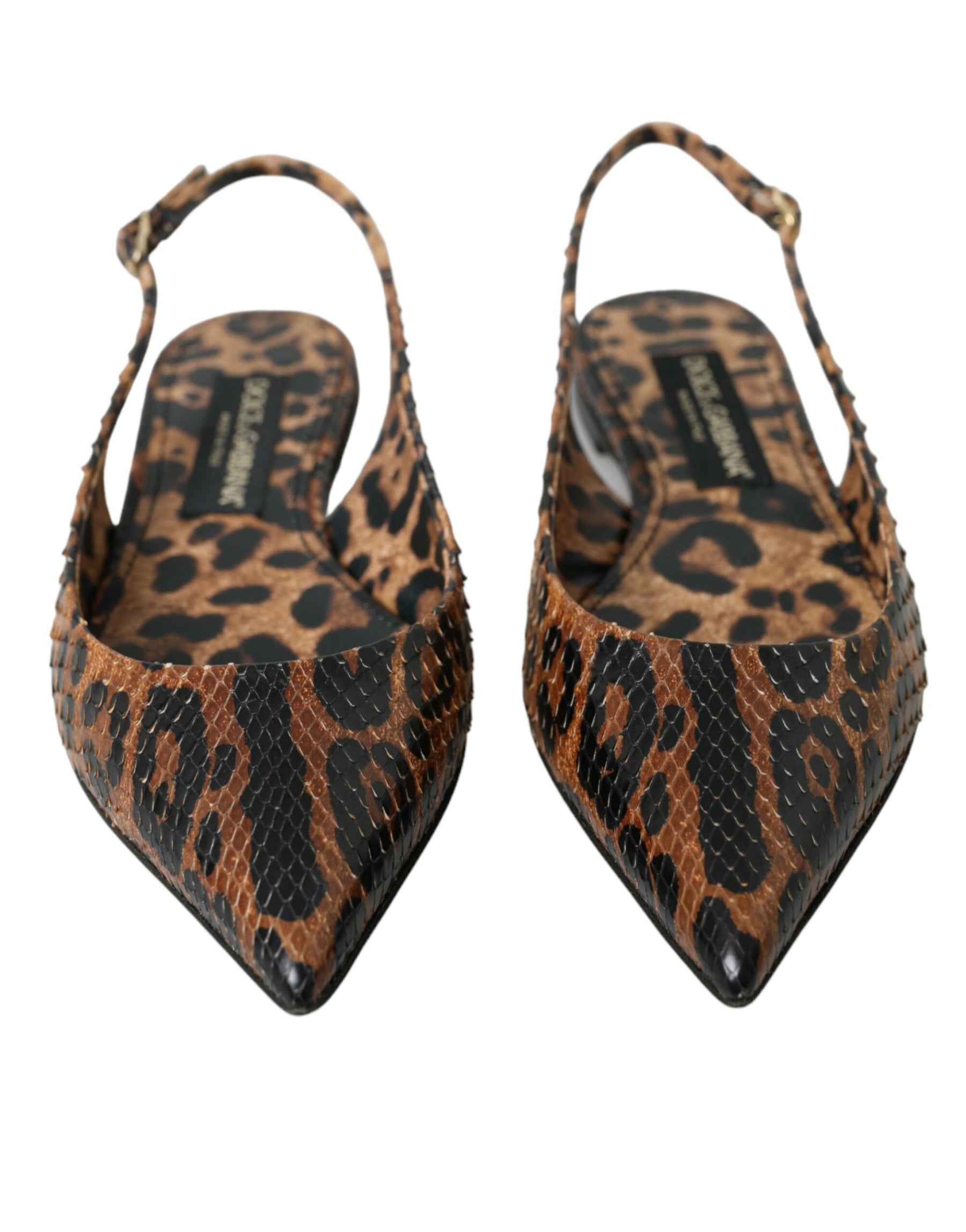 Dolce & Gabbana Brown Leopard Exotic Skin Slingback Shoes | Regal Royce
