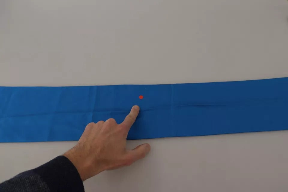 Dolce & Gabbana Royal Blue Scarf Neck Wrap Shawl Silk Scarf | Regal Royce