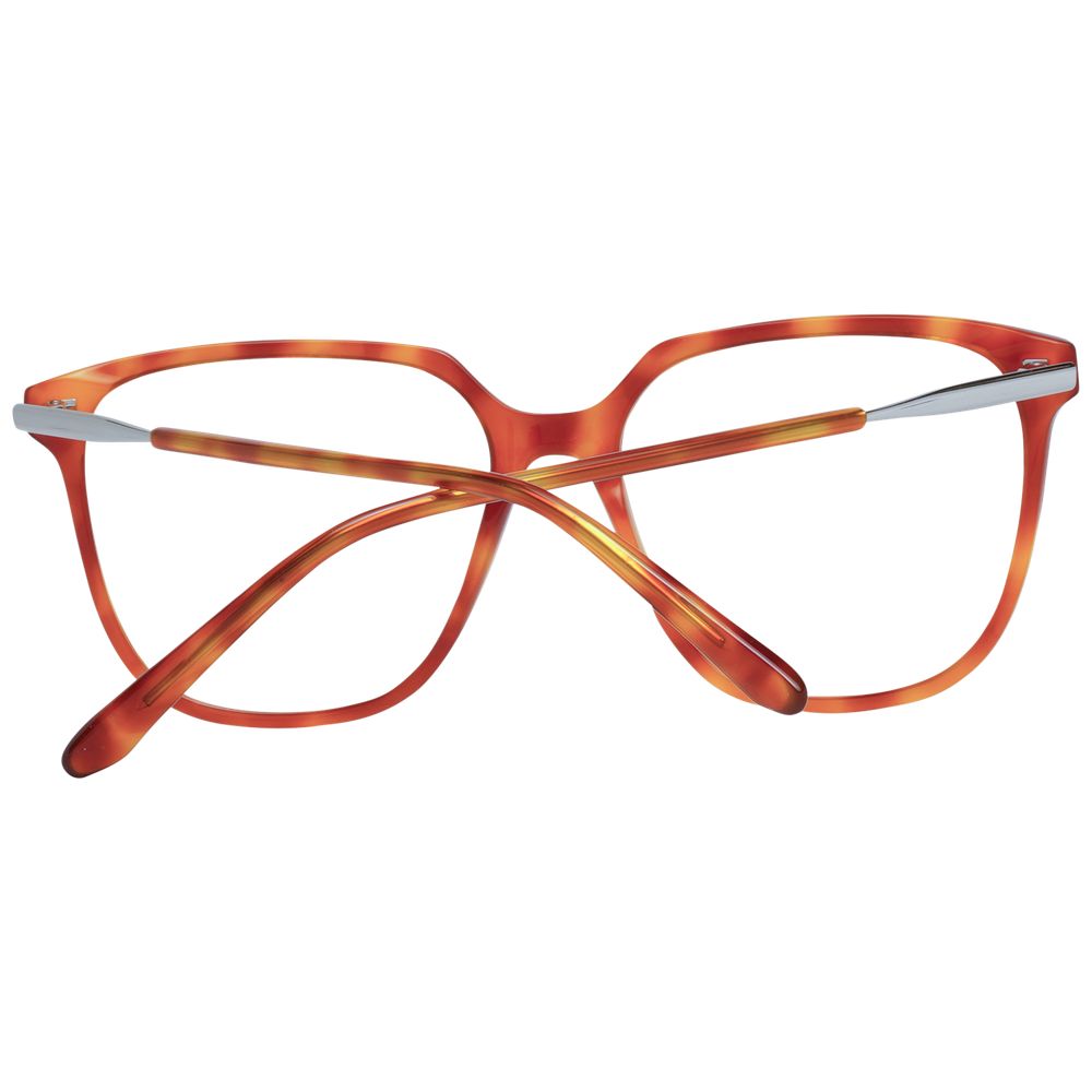 Sandro Brown Acetate Glasses (Frames) | Regal Royce