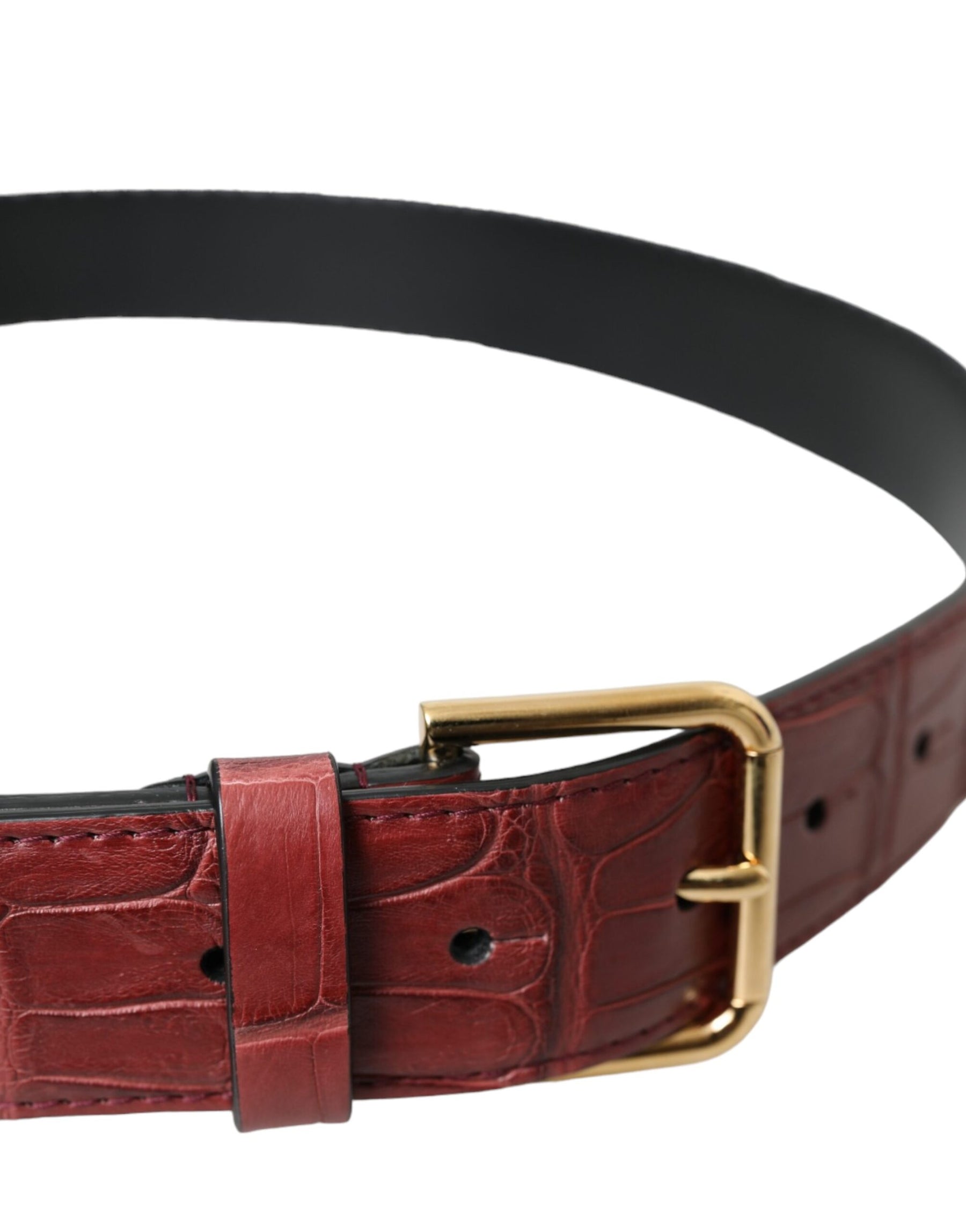 Dolce & Gabbana Brown Alligator Leather Studded Metal Buckle Belt | Regal Royce