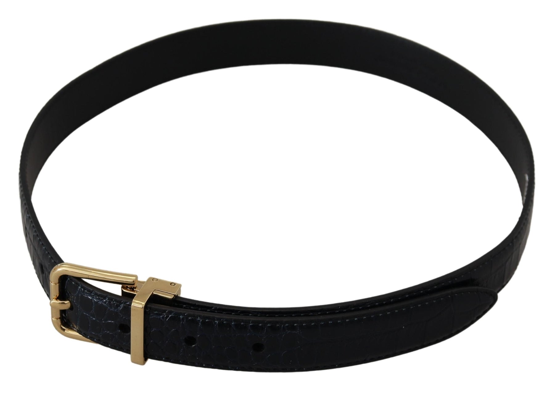 Dolce & Gabbana Black Exotic Leather Gold Metal Buckle Belt | Regal Royce