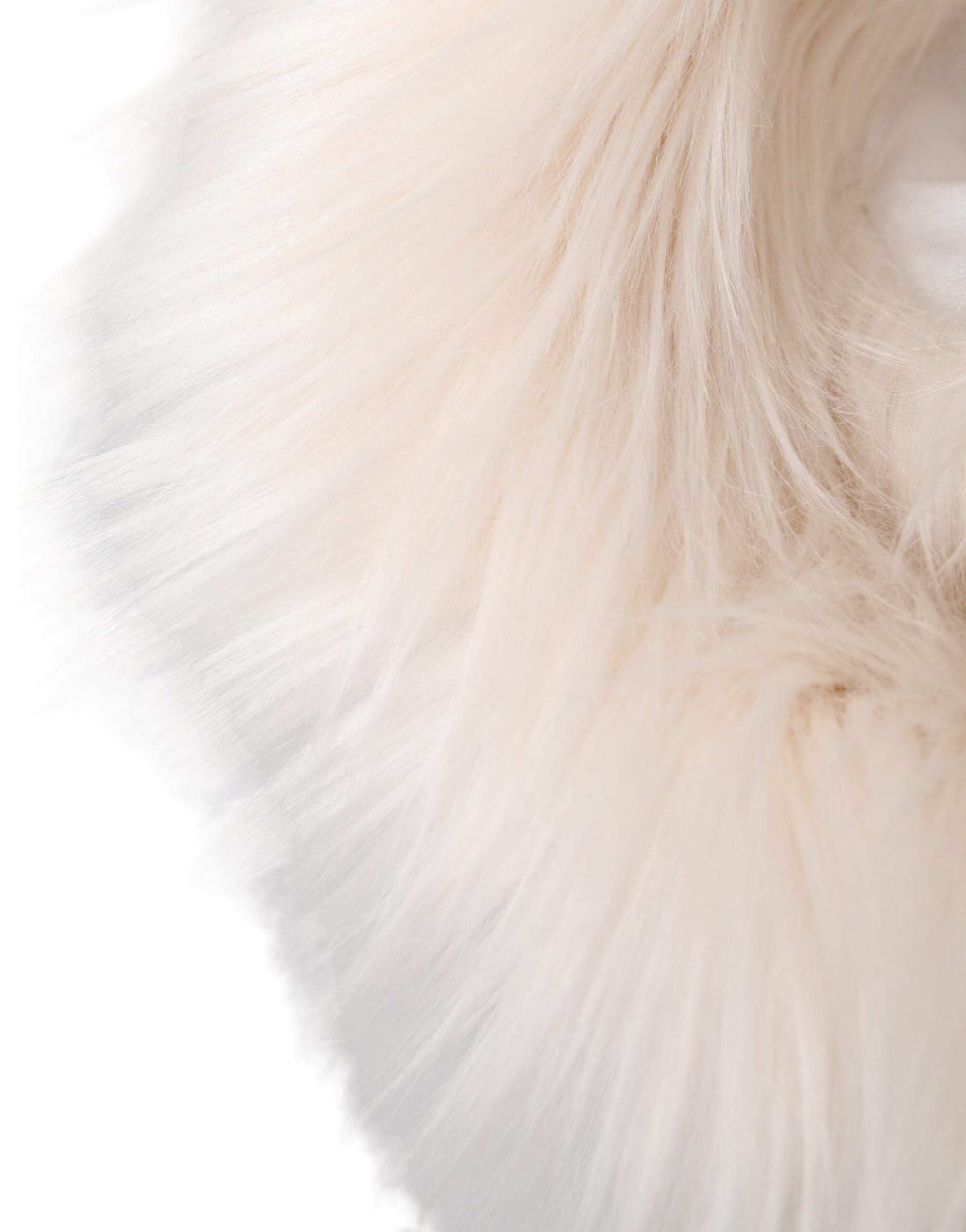 Dolce & Gabbana White Acrylic Fur Womens Bucket Hat | Regal Royce