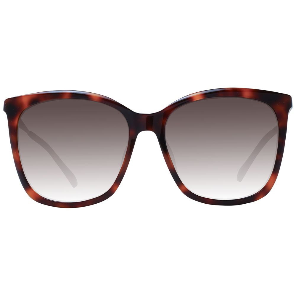 Jimmy Choo Brown Women Sunglasses | Regal Royce