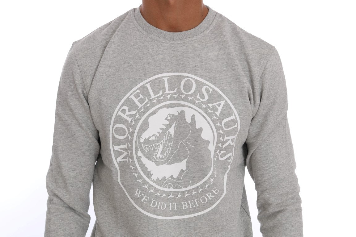 Frankie Morello Gray Cotton Crewneck Pullover Sweater | Regal Royce