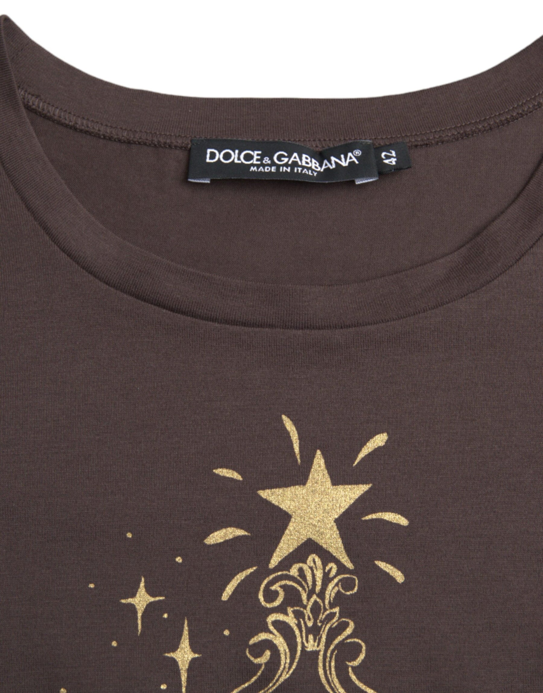 Dolce & Gabbana Brown Crewneck 2017 Motive Print T-shirt | Regal Royce
