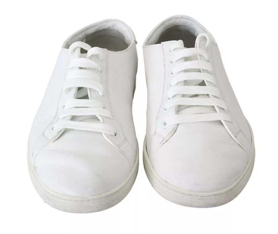Dolce & Gabbana White Saint Tropez Lace Up Men Sneakers Men Shoes | Regal Royce