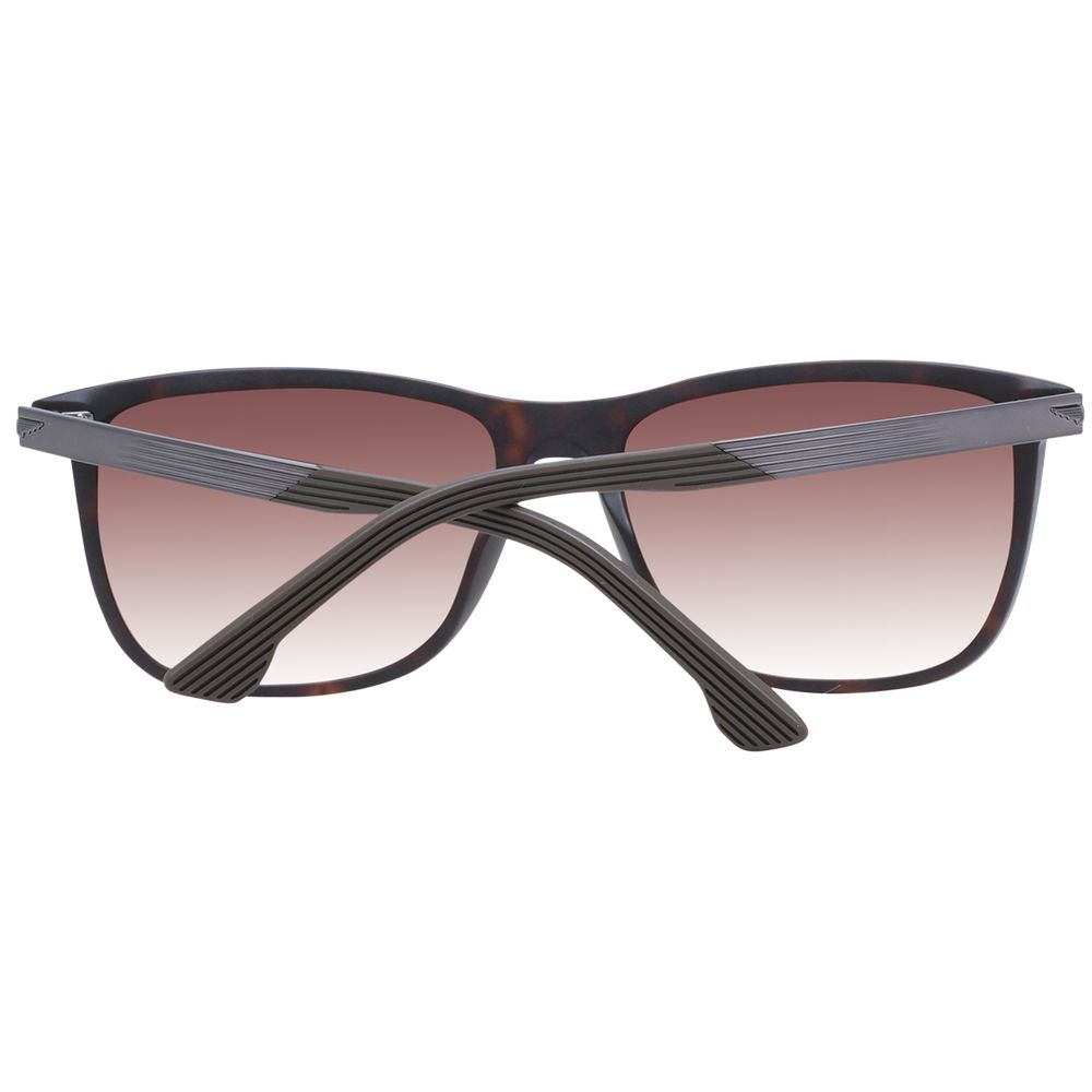Police Brown Acetate & Plastic Sunglasses | Regal Royce