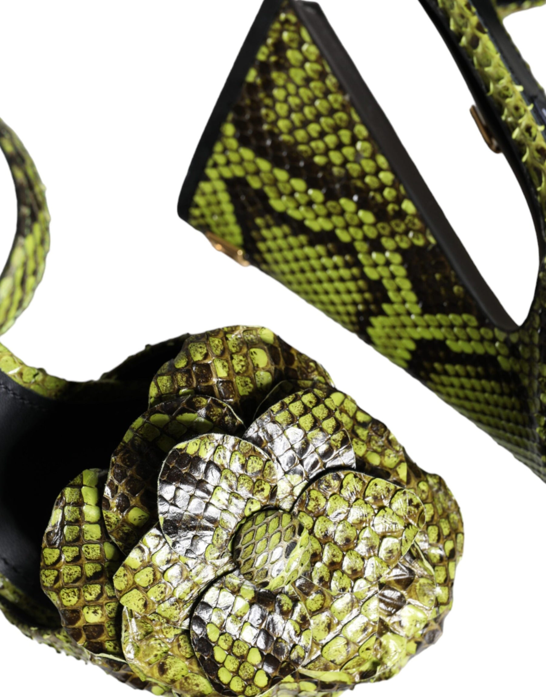 Dolce & Gabbana Green Exotic Leather Ankle Strap Heels Sandals Shoes | Regal Royce