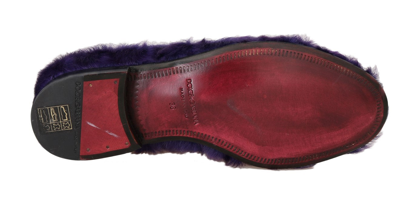 Dolce & Gabbana Purple Sheep Fur Leather Loafers | Regal Royce