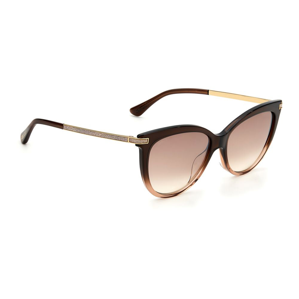 Jimmy Choo Brown Acetate Sunglasses | Regal Royce