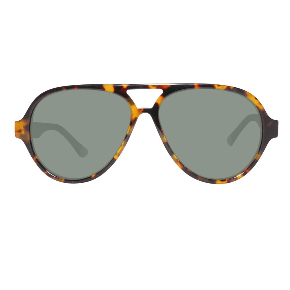 Gant Brown Acetate Sunglasses | Regal Royce