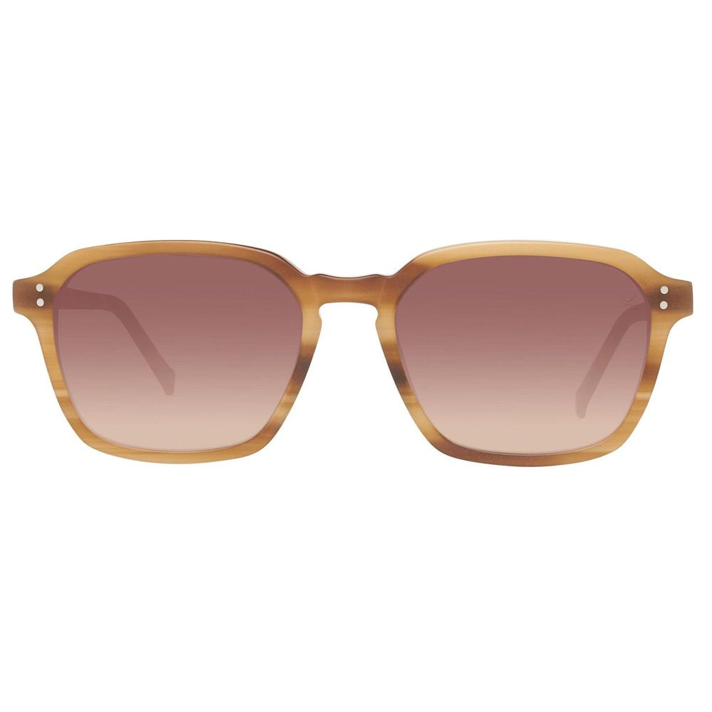 Hackett Brown Acetate Sunglasses | Regal Royce