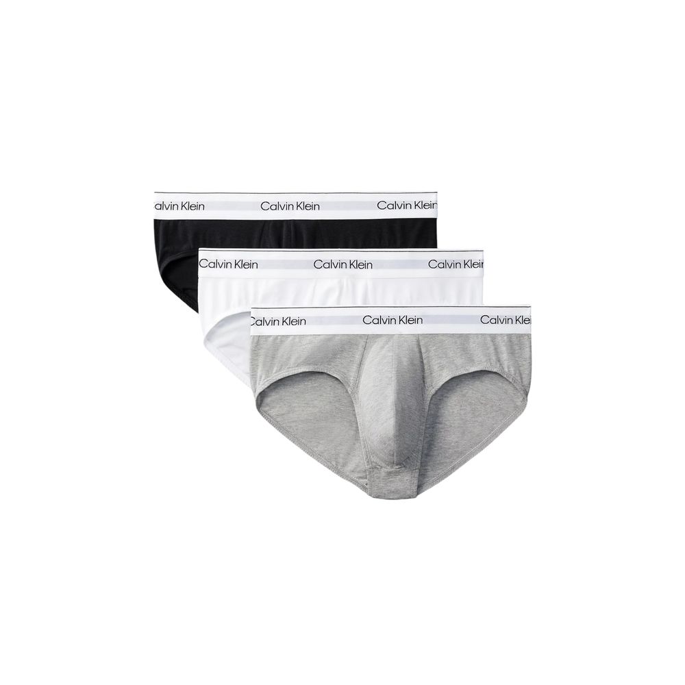 Calvin Klein Underwear Gray Cotton Briefs | Regal Royce