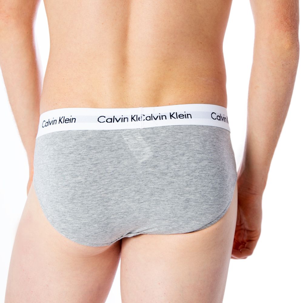 Calvin Klein Underwear Gray Cotton Briefs | Regal Royce