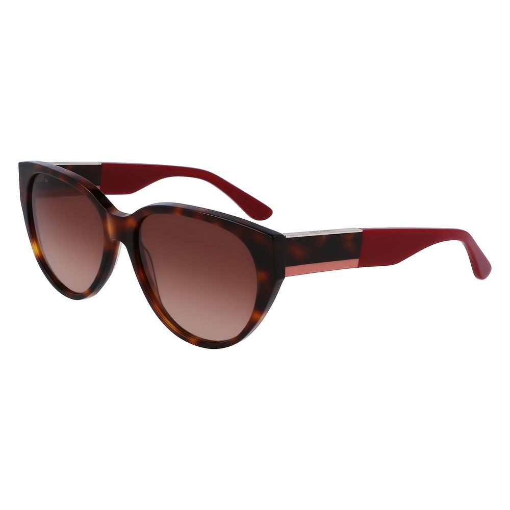 Lacoste Brown Acetate Sunglasses | Regal Royce