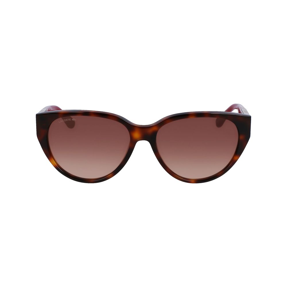 Lacoste Brown Acetate Sunglasses | Regal Royce