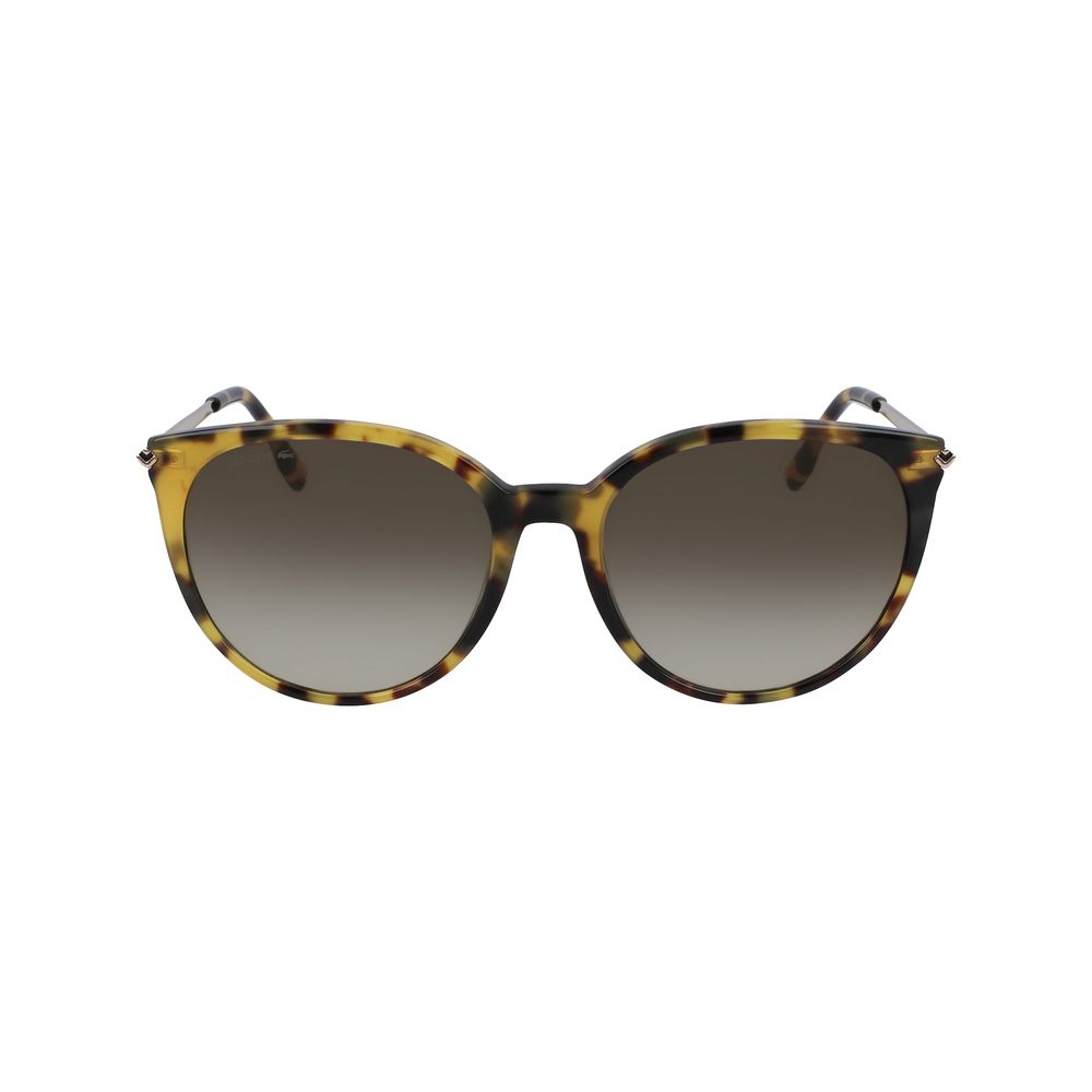 Lacoste Brown Metal Sunglasses | Regal Royce
