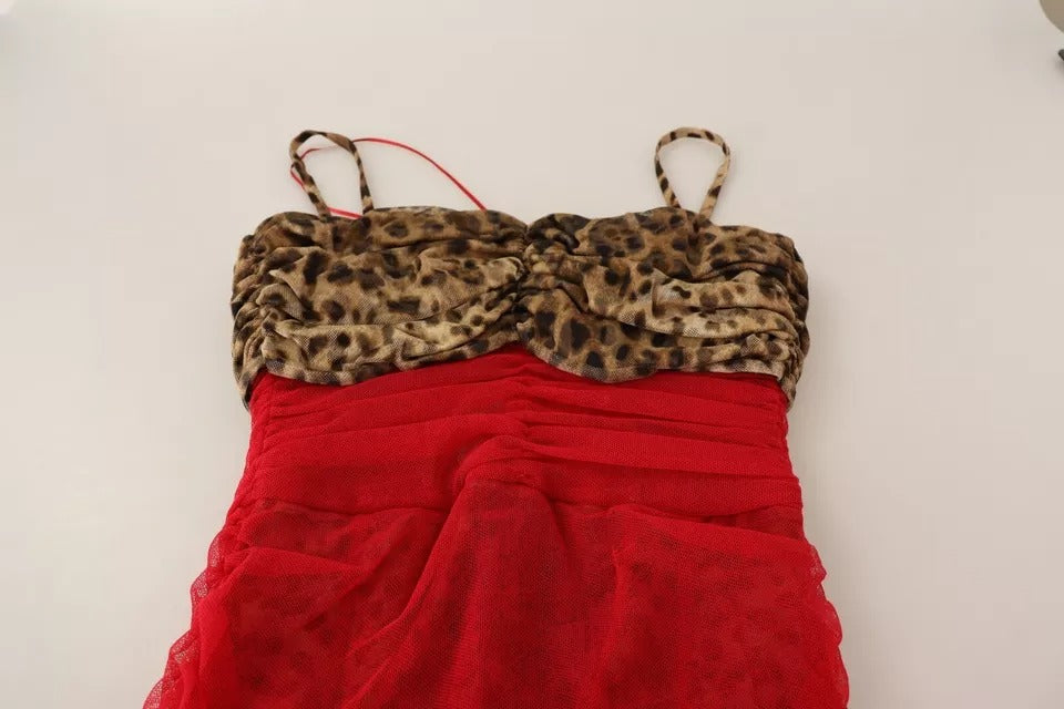 Dolce & Gabbana Brown Leopard Red Tulle Sheath Midi Dress | Regal Royce