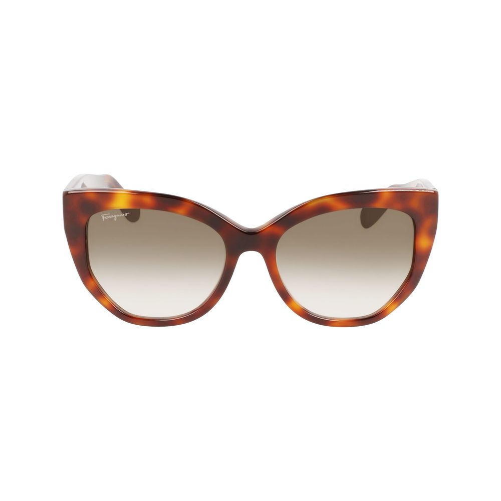 Ferragamo Brown Acetate Sunglasses | Regal Royce
