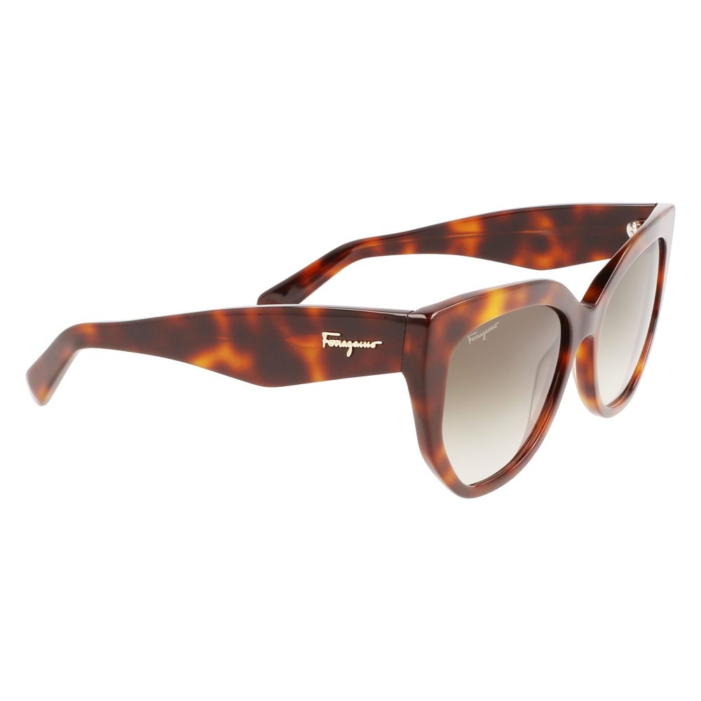 Ferragamo Brown Acetate Sunglasses | Regal Royce
