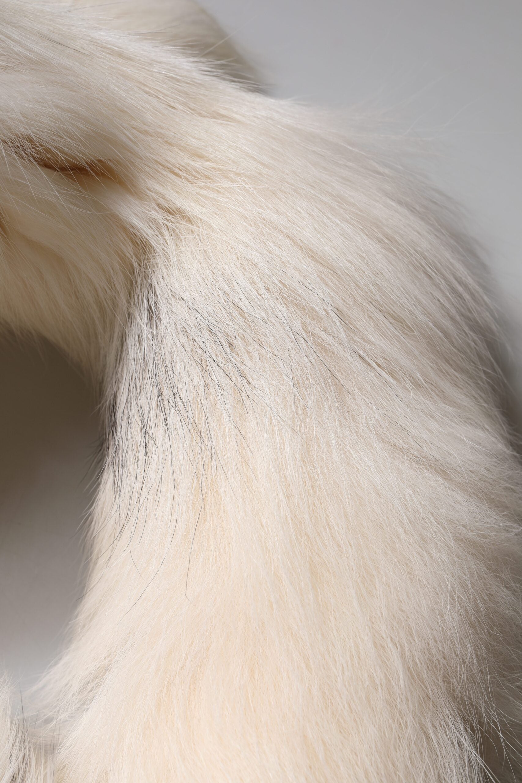 Dolce & Gabbana White Fox Fur Neck Wrap Warmer Winter Scarf | Regal Royce