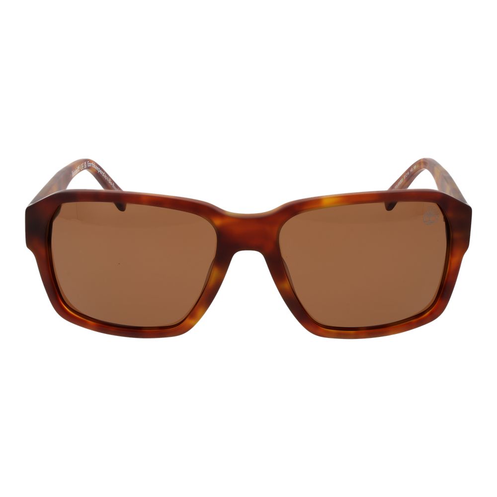 Timberland Brown Acetate Sunglasses | Regal Royce