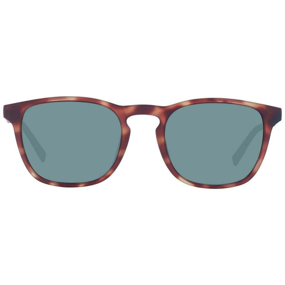 Timberland Brown Plastic Sunglasses | Regal Royce