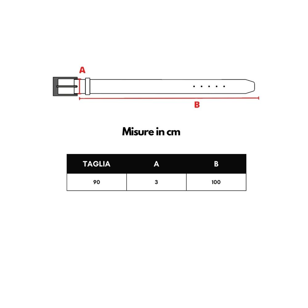 Dolce & Gabbana Brown Leather Regular Belt | Regal Royce