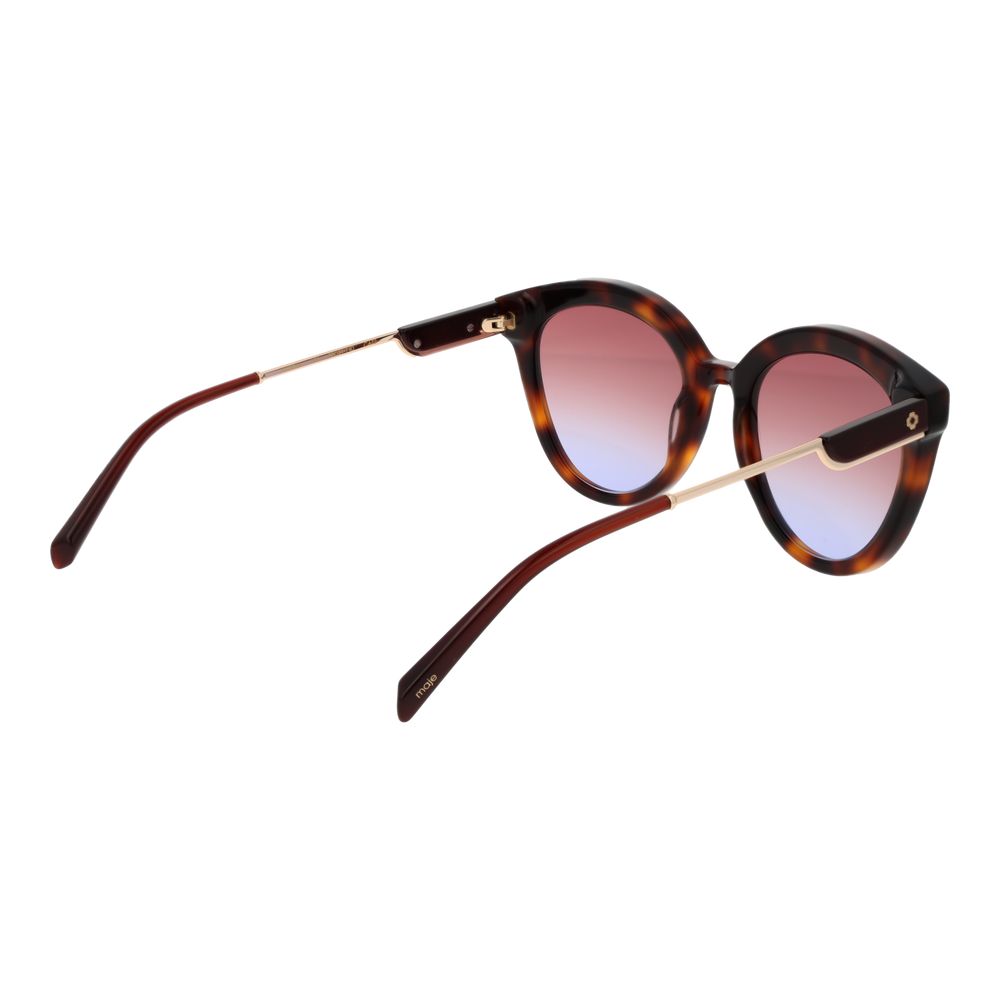 Maje Brown Acetate Sunglasses | Regal Royce