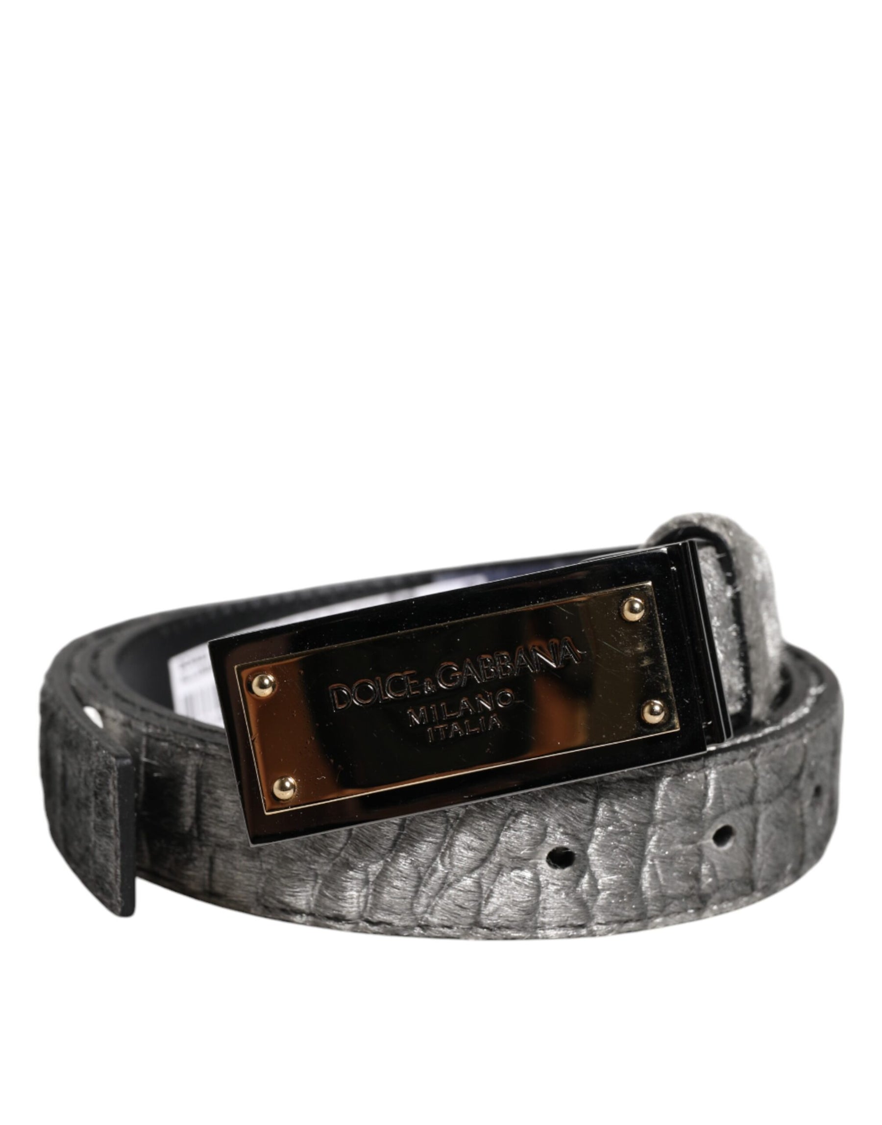 Dolce & Gabbana Silver Classic Gold Logo Plaque Buckle Belt | Regal Royce