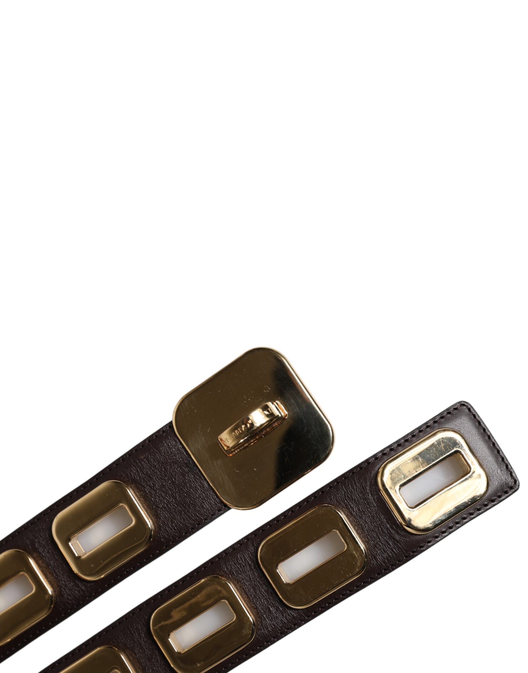 Dolce & Gabbana Dark Brown Leather Gold Rotating Buckle Belt | Regal Royce